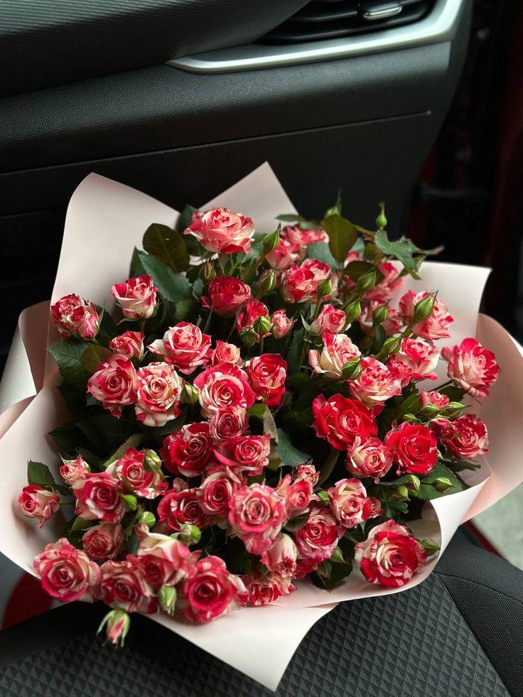 Enchanted Garden Blooms Symphony